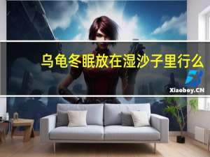 乌龟冬眠放在湿沙子里行么
