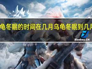 乌龟冬眠的时间在几月 乌龟冬眠到几月份结束
