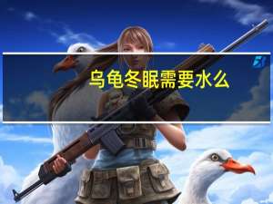 乌龟冬眠需要水么（乌龟冬眠时需要水）