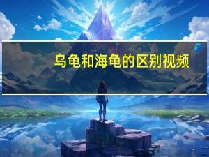乌龟和海龟的区别视频（乌龟和海龟的区别）