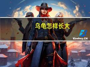 乌龟怎样长大
