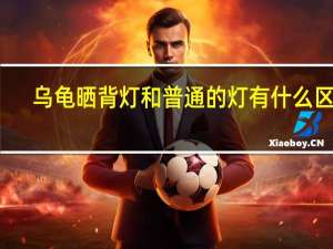 乌龟晒背灯和普通的灯有什么区别