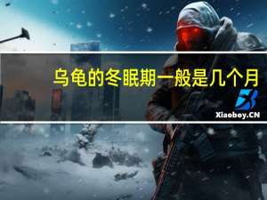 乌龟的冬眠期一般是几个月