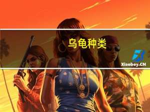 乌龟种类