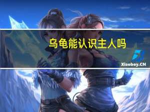 乌龟能认识主人吗