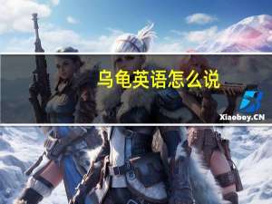 乌龟英语怎么说