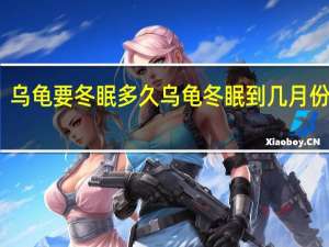 乌龟要冬眠多久 乌龟冬眠到几月份结束