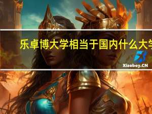 乐卓博大学相当于国内什么大学