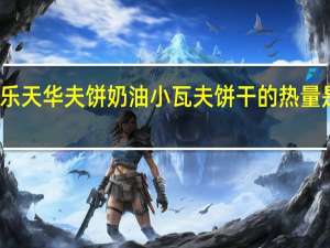 乐天 华夫饼奶油小瓦夫饼干的热量是多少