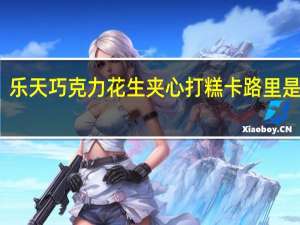 乐天 巧克力花生夹心打糕卡路里是多少