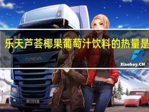 乐天 芦荟椰果葡萄汁饮料的热量是多少