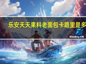 乐安天天 果料老面包卡路里是多少