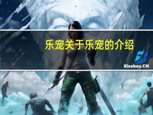 乐宠 关于乐宠的介绍