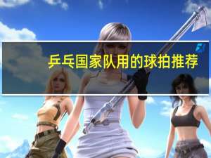 乒乓国家队用的球拍推荐