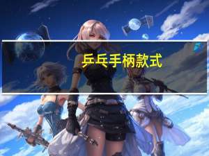 乒乓手柄款式