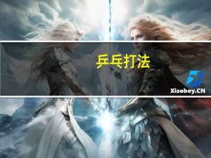 乒乓打法