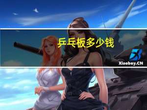 乒乓板多少钱