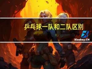 乒乓球一队和二队区别