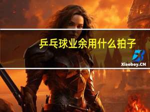 乒乓球业余用什么拍子