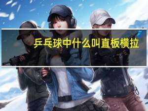 乒乓球中什么叫直板横拉!还有就是象这样的名词别的还有什么