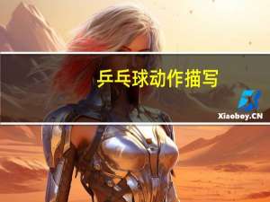 乒乓球动作描写