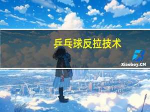乒乓球反拉技术