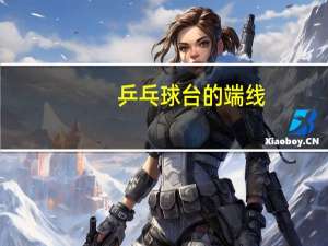 乒乓球台的端线