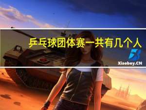 乒乓球团体赛一共有几个人