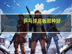 乒乓球底板那种好