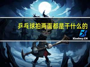乒乓球拍两面都是干什么的