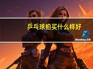 乒乓球拍买什么样好