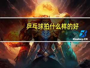 乒乓球拍什么样的好