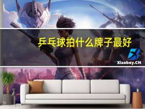 乒乓球拍什么牌子最好