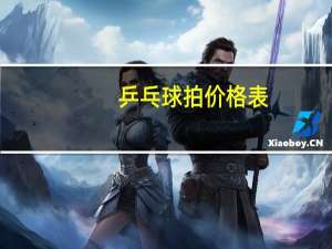 乒乓球拍价格表