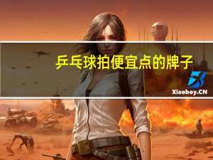 乒乓球拍便宜点的牌子