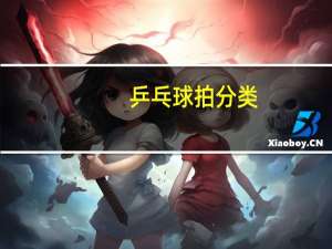 乒乓球拍分类