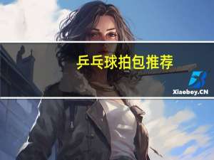 乒乓球拍包推荐
