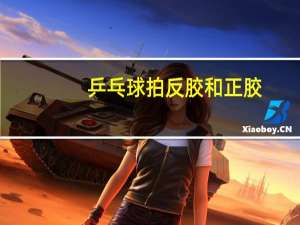 乒乓球拍反胶和正胶
