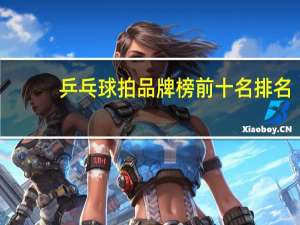乒乓球拍品牌榜前十名排名