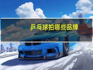 乒乓球拍哪些品牌