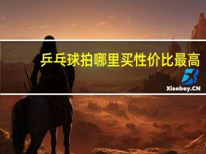乒乓球拍哪里买性价比最高