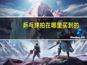 乒乓球拍在哪里买到的