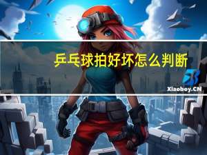 乒乓球拍好坏怎么判断