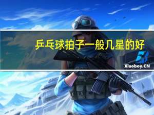 乒乓球拍子一般几星的好