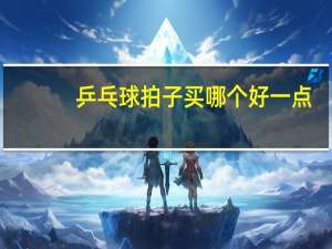 乒乓球拍子买哪个好一点