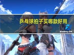 乒乓球拍子买哪款好用