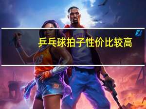 乒乓球拍子性价比较高