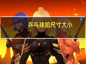 乒乓球拍尺寸大小