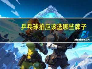 乒乓球拍应该选哪些牌子
