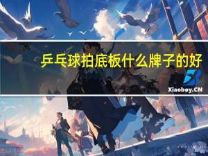 乒乓球拍底板什么牌子的好